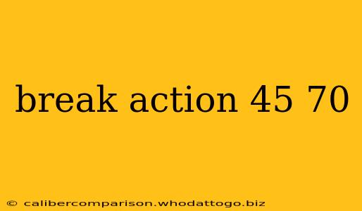 break action 45 70