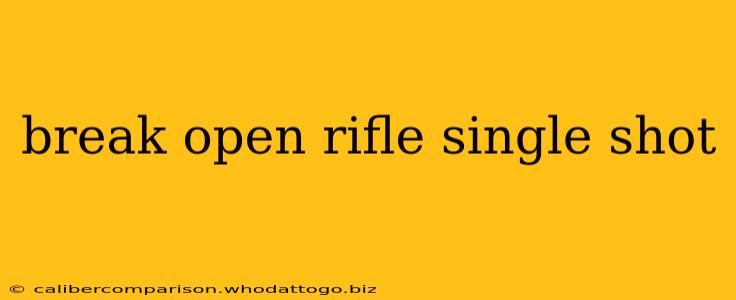 break open rifle single shot