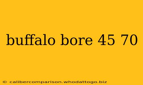 buffalo bore 45 70