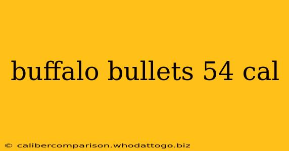 buffalo bullets 54 cal