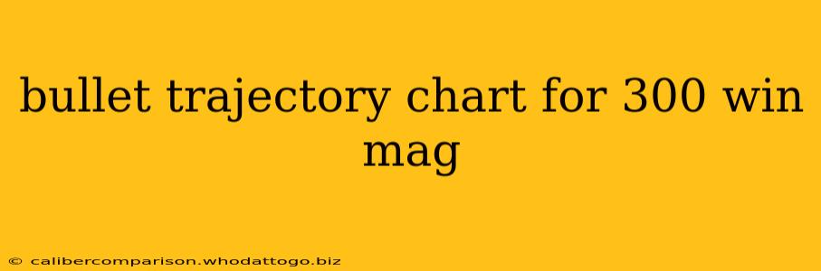 bullet trajectory chart for 300 win mag