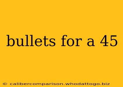 bullets for a 45