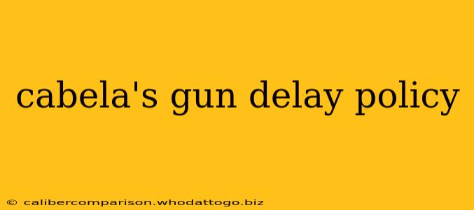 cabela's gun delay policy