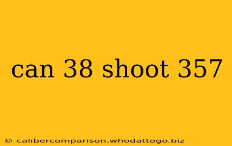 can 38 shoot 357