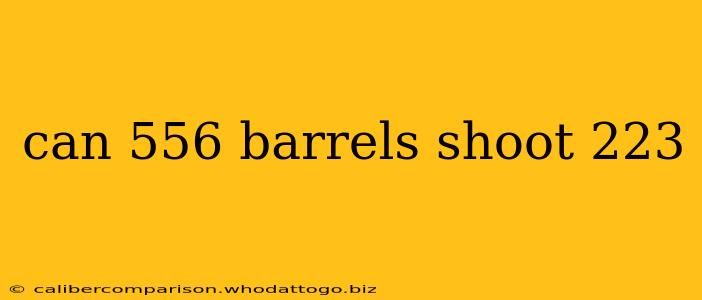 can 556 barrels shoot 223