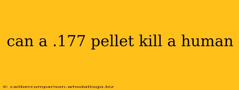 can a .177 pellet kill a human