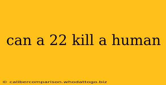 can a 22 kill a human