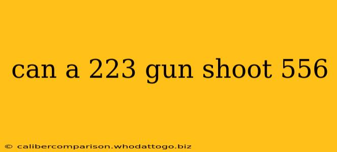 can a 223 gun shoot 556