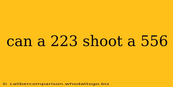 can a 223 shoot a 556