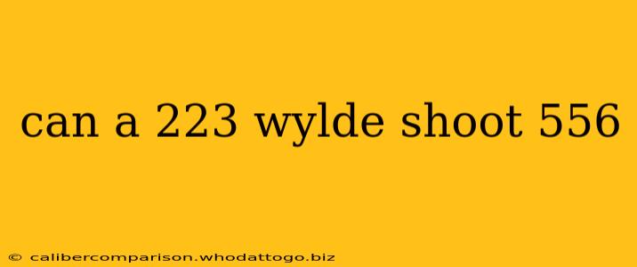 can a 223 wylde shoot 556