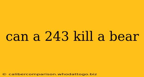 can a 243 kill a bear