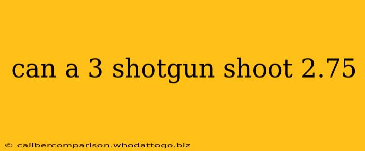 can a 3 shotgun shoot 2.75