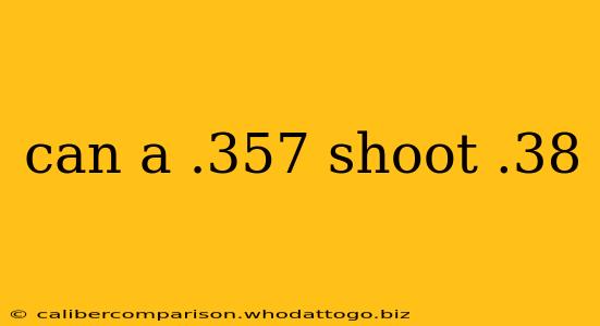 can a .357 shoot .38