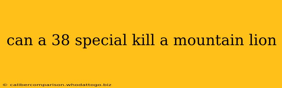 can a 38 special kill a mountain lion