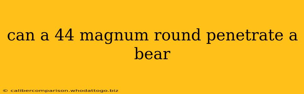 can a 44 magnum round penetrate a bear