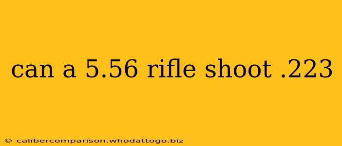 can a 5.56 rifle shoot .223