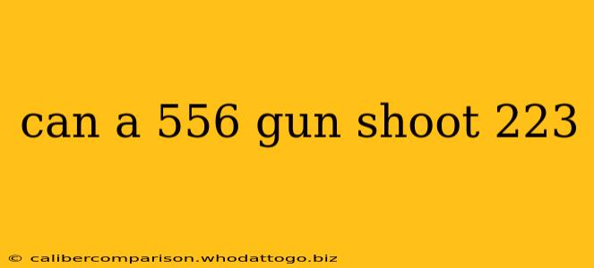 can a 556 gun shoot 223