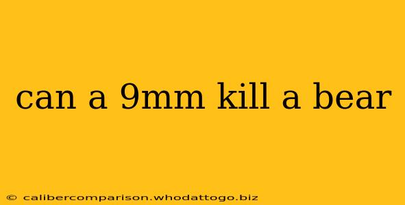 can a 9mm kill a bear