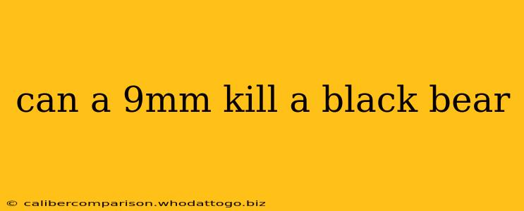 can a 9mm kill a black bear