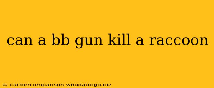 can a bb gun kill a raccoon