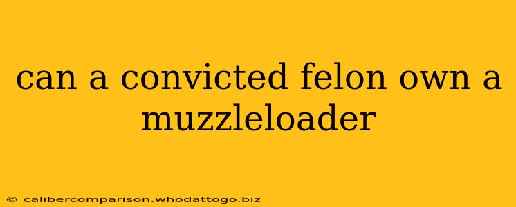 can a convicted felon own a muzzleloader