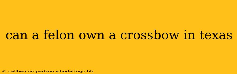 can a felon own a crossbow in texas