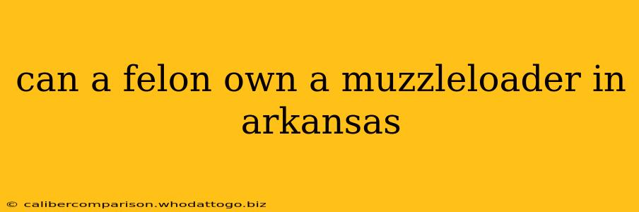 can a felon own a muzzleloader in arkansas