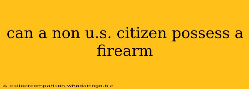 can a non u.s. citizen possess a firearm