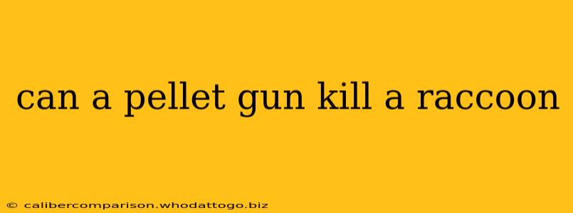 can a pellet gun kill a raccoon