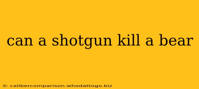 can a shotgun kill a bear