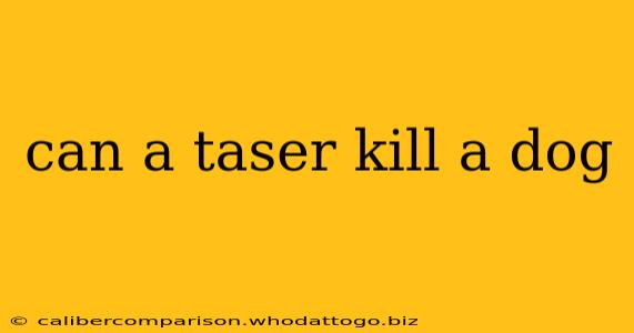 can a taser kill a dog