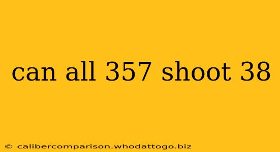 can all 357 shoot 38