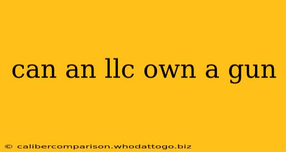 can an llc own a gun