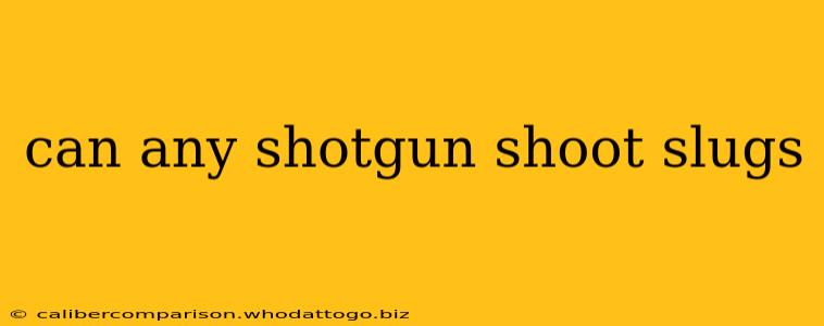 can any shotgun shoot slugs