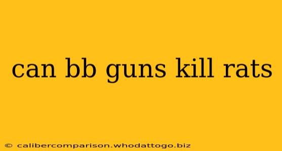 can bb guns kill rats