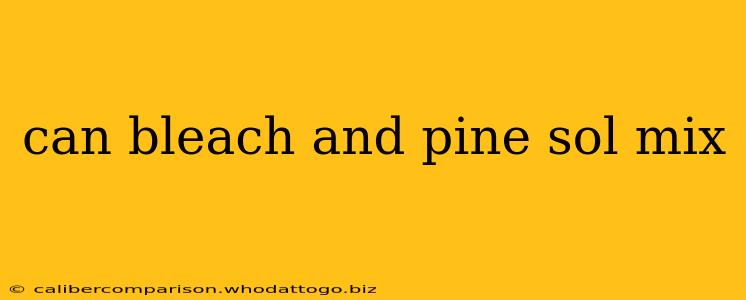 can bleach and pine sol mix