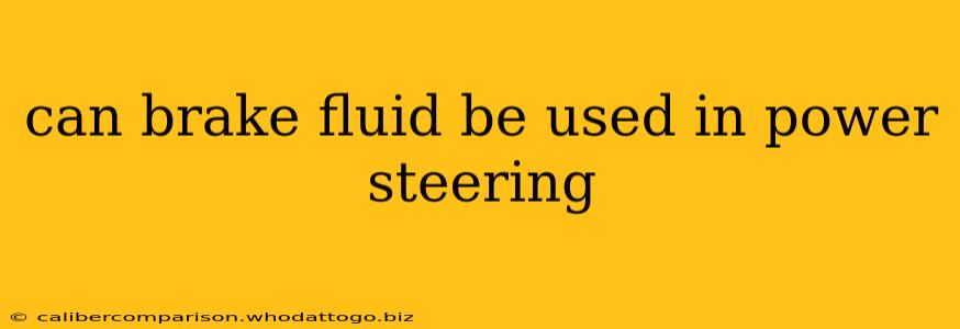 can brake fluid be used in power steering