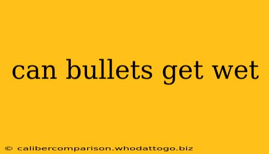 can bullets get wet