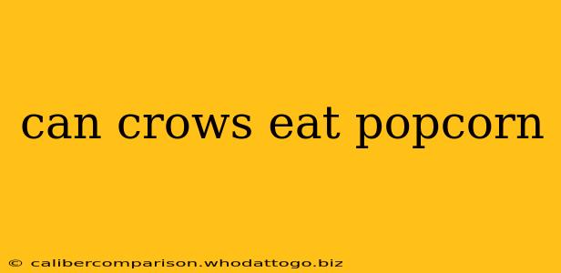 can crows eat popcorn