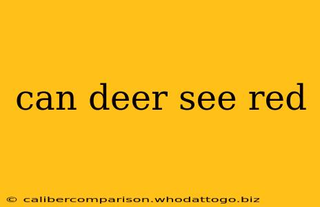 can deer see red