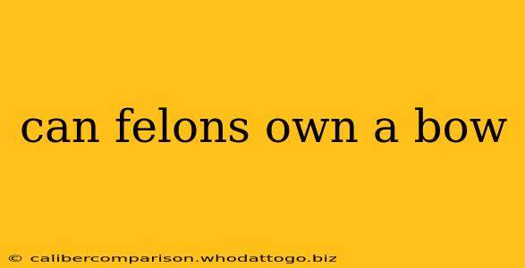 can felons own a bow