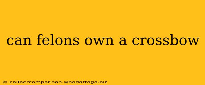 can felons own a crossbow