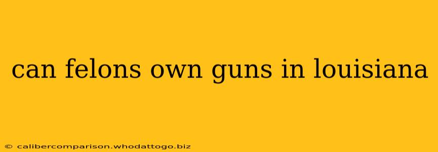 can felons own guns in louisiana