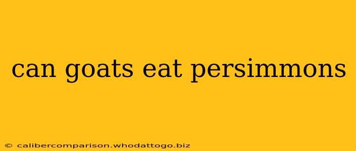 can goats eat persimmons