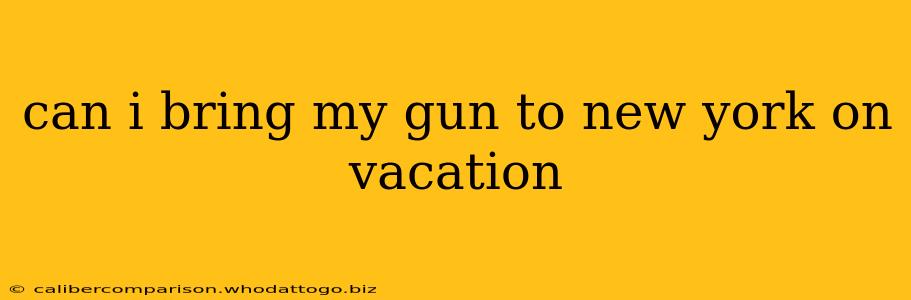 can i bring my gun to new york on vacation