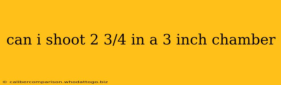 can i shoot 2 3/4 in a 3 inch chamber