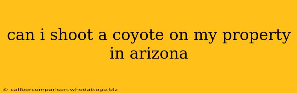 can i shoot a coyote on my property in arizona