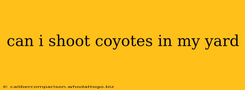 can i shoot coyotes in my yard