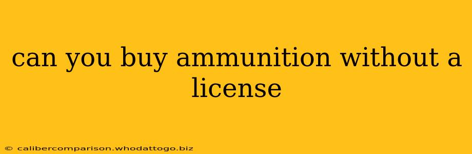 can you buy ammunition without a license