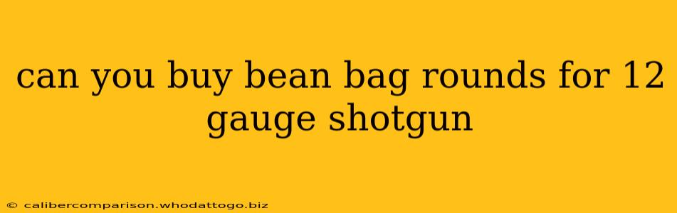 can you buy bean bag rounds for 12 gauge shotgun